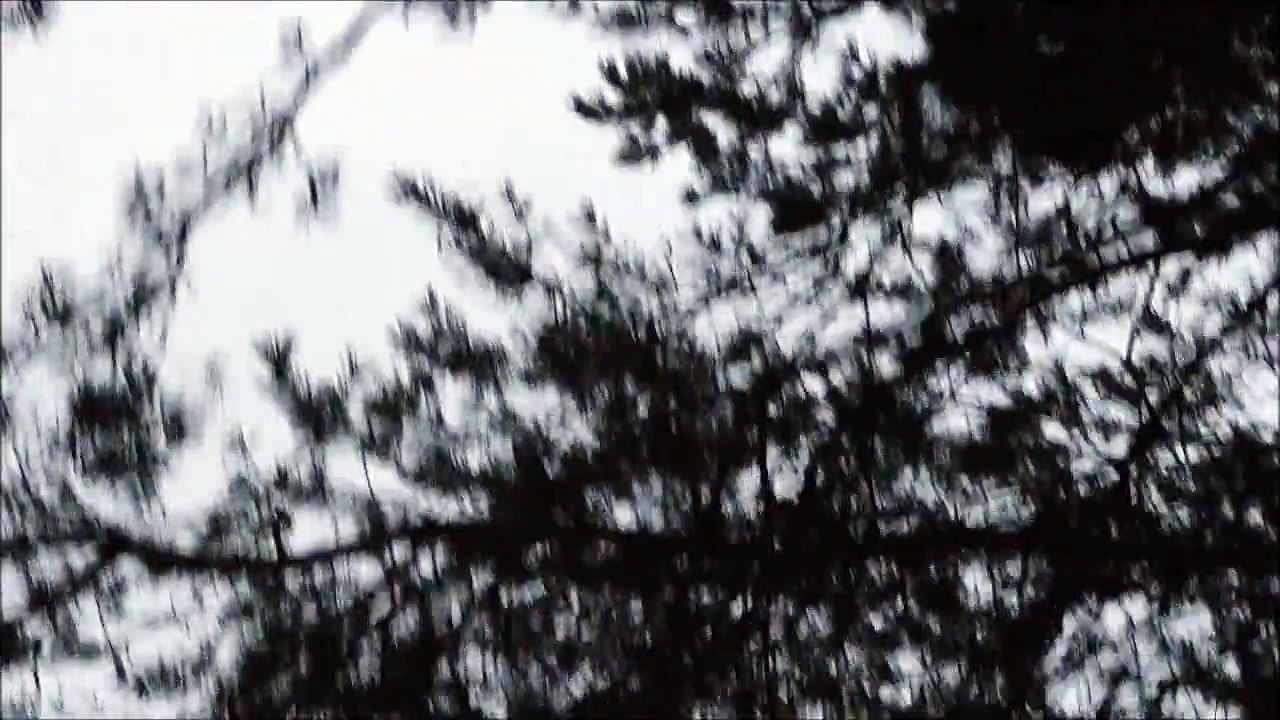 Lykke Li - I Follow Rivers  (OFFICIAL VIDEO)