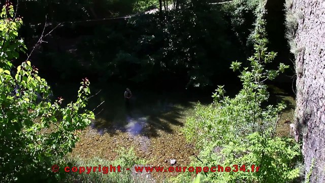 Pêche à la mouche sur la Vis. Europêche34