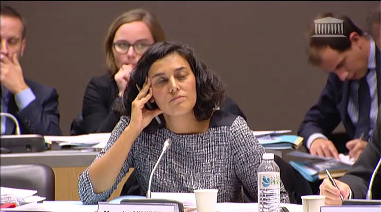 Intervention de Daniel Goldberg à l'Assemblée nationale le 30 octobre 2014 sur le budget pour 2015 de la politique de la Ville