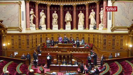 Le Sénat rend hommage à Xavier de Villepin