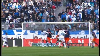 OM 1-3 MHSC : résumé