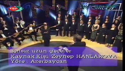 İclâl AKKAPLAN *Sensiz Uzun Geceler Yuhum Çekiler* (Hesretindeyem)