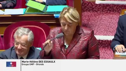 Ecotaxe « On assiste tout simplement à un gâchis d’argent public à des seules fins politiciennes »