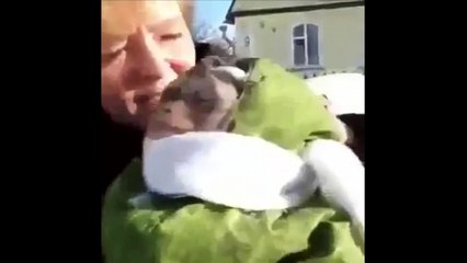 El mono de las nieves