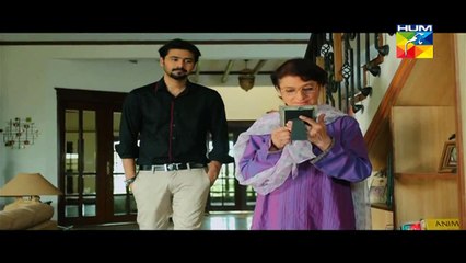 Susraal Mera Episode 29 Full - 30 October 2014 HUM TV Drama