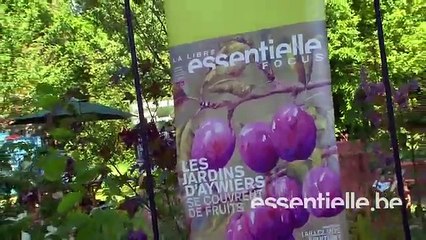 Beauty Party Guerlain Jardins d Aywiers