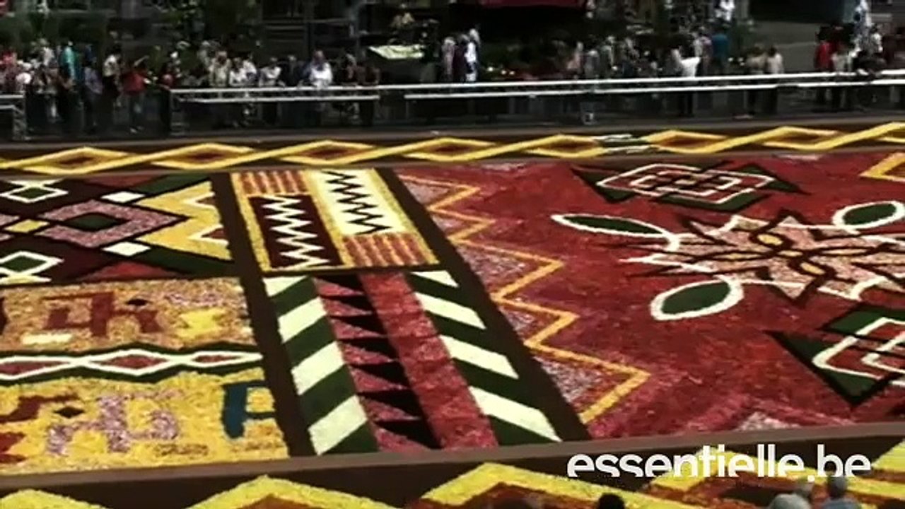 Tapis de Fleurs sur la Grand-Place de Bruxelles
