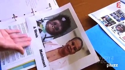 Christiane Taubira comparée à un singe