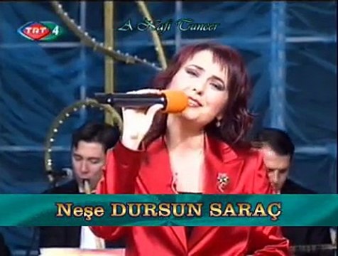 Neşe DURSUN SARAÇ *Uzun Yıllar Bekledim Hakikat Oldu Rüyâm* (MANOLYAM)