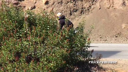 Motosiklet Sürücüleri Kamera Çekimi - Araba Tutkum