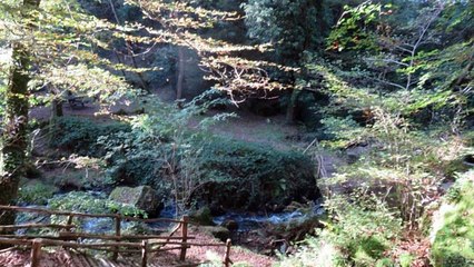 Diaporama des cascades de Bialet en Corrèze