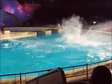 EngFranNedl Close dolphinaria in Europe , Fermez les delphinariums , Sluit dolphinaria in Europa bis