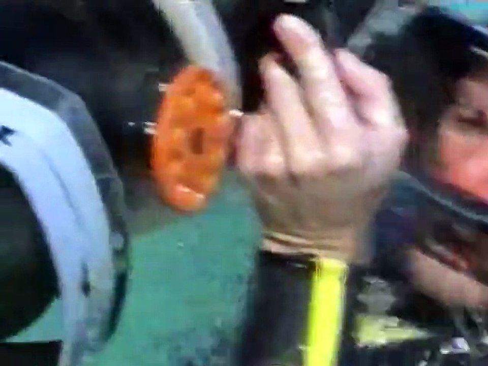 Human-dolphin altruism - L'altruisme entre homme et dauphin