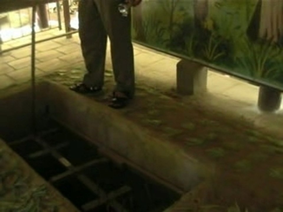 LES TUNNELS DE CU CHI