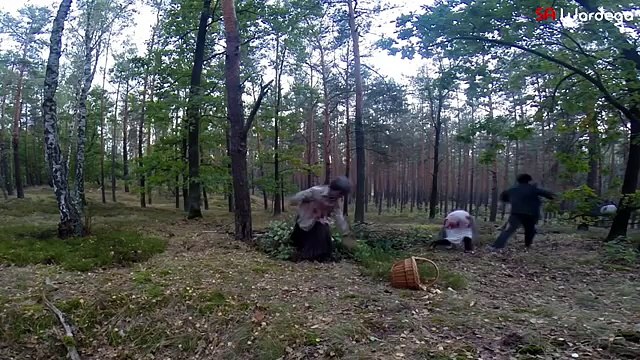 Caméra cachée : une invasion de zombies déferle sur le monde pour Halloween !