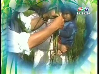 Chăm sóc và phòng bệnh cho gà trong mùa mưa