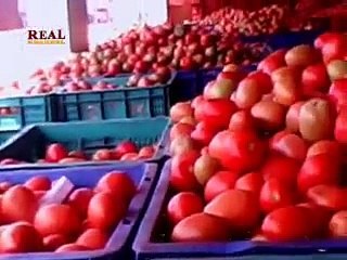 VID-20141031-WA0000.mp4