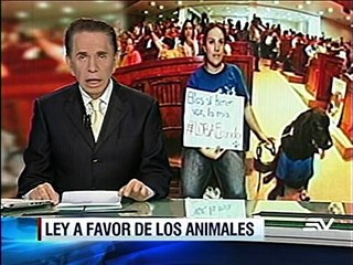 Ley de Bienestar Animal fue presentada en la Asamblea Nacional