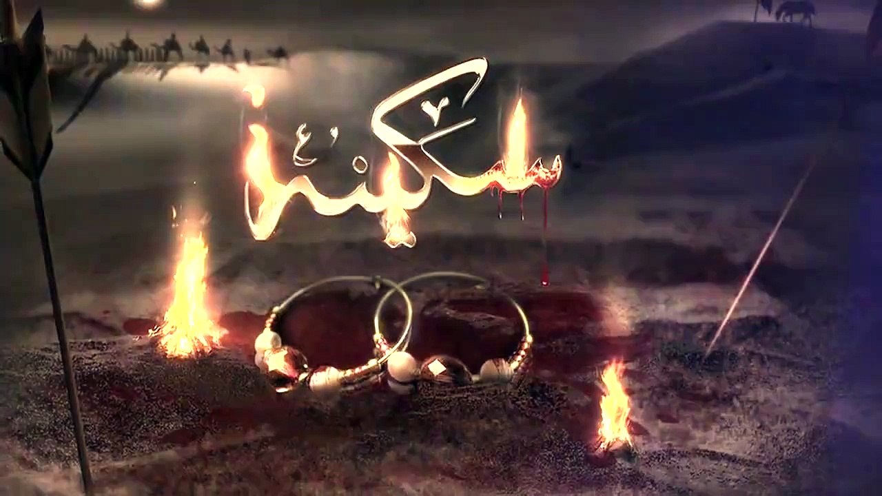 Tera Seena nahi labda Baba Main Rul Gaye Mir Hasan Mir New Noha 2015