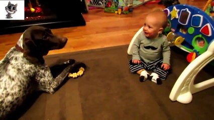 Funny Cats & Dogs Love Babies Compilation 2014