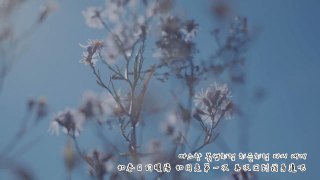 [中韓字] 2AM -- 나타나 주라 (Over the Destiny) MV