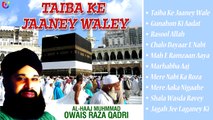 Taiba Ke Jane Wale - Owais Raza Qadri - Ramzan Naat 2014 - Urdu Naats 2014 - Eid Mubarak