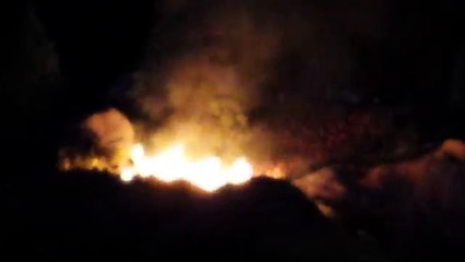 Fogo atinge montanha-russa na Disney