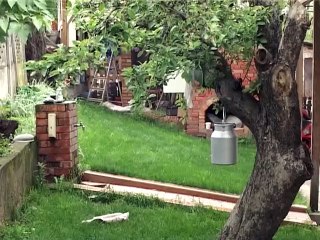 Vesti na rumunskom jeziku, 31. oktobar 2014. (RTV Bor)