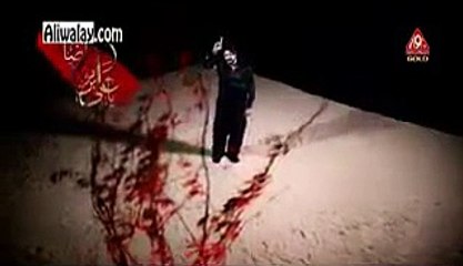 Irfan Haider 2015 - Taveez_E_RAZA (a.s) - Irfan Hyder 2015