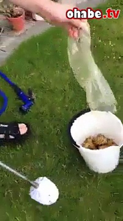 Bir poşet patates 1 dakikaya nasıl soyulur