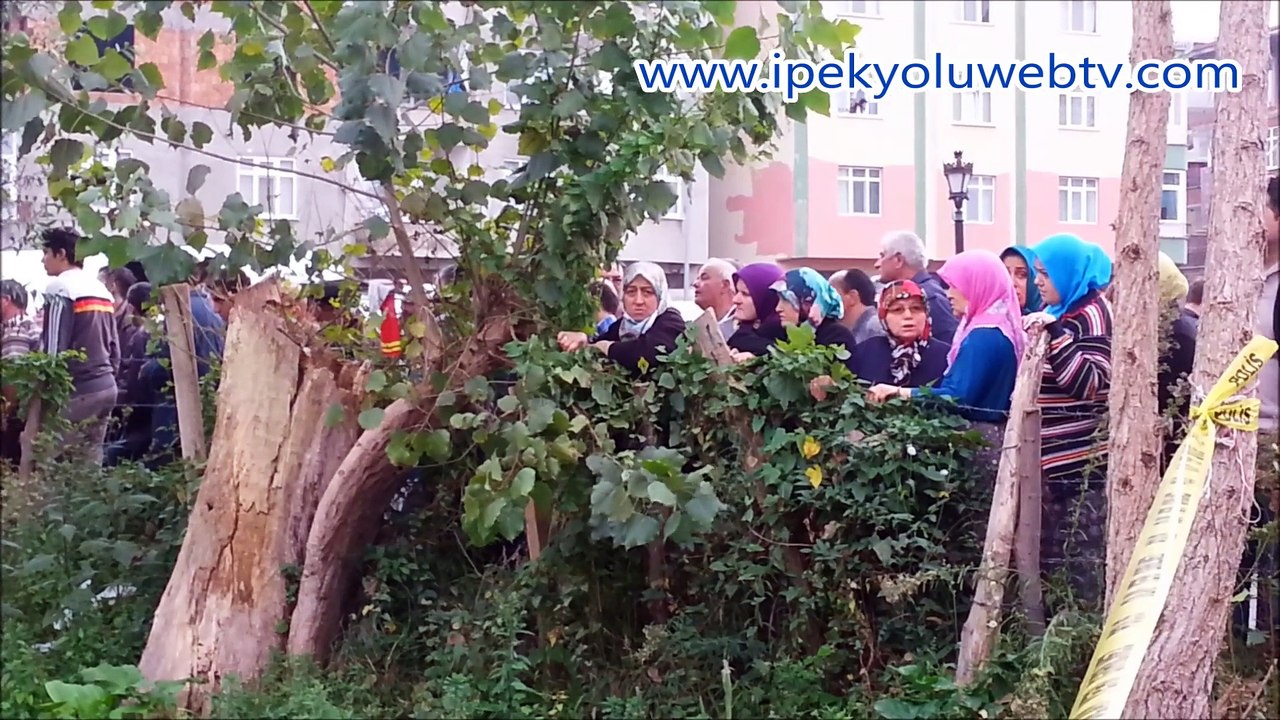 Ünye’de intihar, Kendini ağaca astı