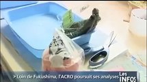 ACRO - Analyses radioactivité échantillons provenant du Japon - Normandie TV 20/07/2011