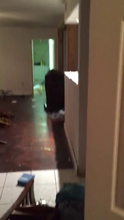 Un Fan des Cowboys détruit sa maison de colère après une défaite contre les Redskins