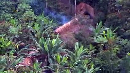 Karlos Marlos Experimenting Life style of Wild