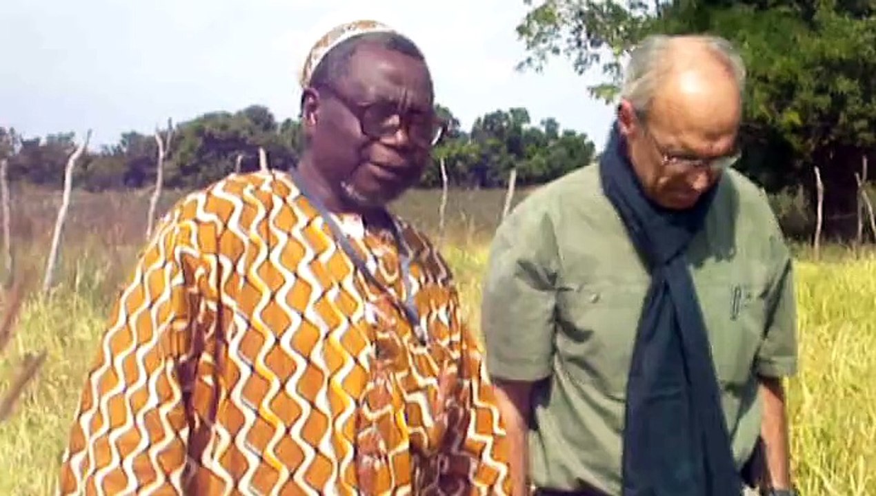 Agriculture de conservation au Mali, Afdi Touraine : semis direct sous couvert végétal