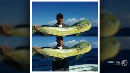 Miami Offshore Fishing Charter