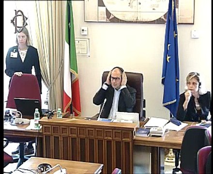 Roma - Audizione Istituto Viennese studi economici internazionali (30.10.14)