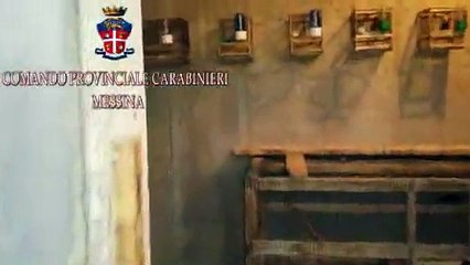 Milazzo (ME) - Denunciate 2 persone per cattura di animali protetti (30.10.14)