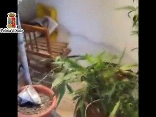 Carini (PA) - Piante marijuana e pedopornografia per una giovane coppia (30.10.14)