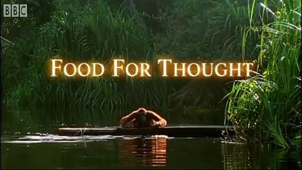 Orangutan en fazla ne yapabilir