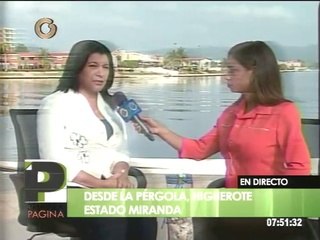 Скачать видео: Desarticulan 4 bandas delictivas en municipio Brion de Miranda