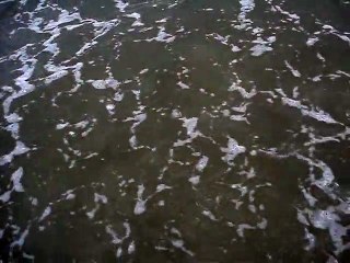 SHORT FILM - THE COVE BEACH IN UBATUBA – AMBROGI, MARCELO - PART (51)