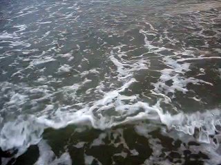 SHORT FILM - THE COVE BEACH IN UBATUBA – AMBROGI, MARCELO - PART (57)