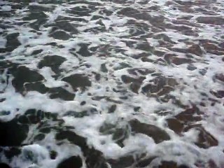 SHORT FILM - THE COVE BEACH IN UBATUBA – AMBROGI, MARCELO - PART (63)