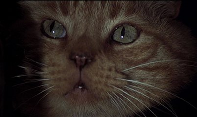 Alien isolation " L'équipage peut être sacrifié " ( PS4 )