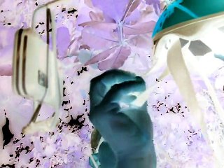 SHORT FILM - THE COVE BEACH IN UBATUBA – AMBROGI, MARCELO - PART (147)