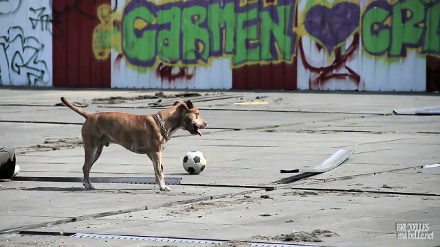 A tout moment la rue (Eiffel) - Place du Congrès, Bruxelles