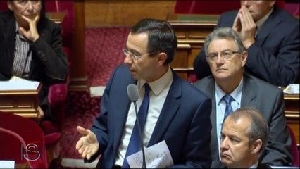 Bruno Retailleau : " La réforme territoriale ne doit pas être un grand jardin à la française !  "