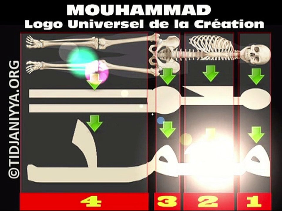 MOUHAMMAD LOGO UNIVERSEL DE LA CREATION