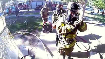 Un pompier sauve un chaton des flammes